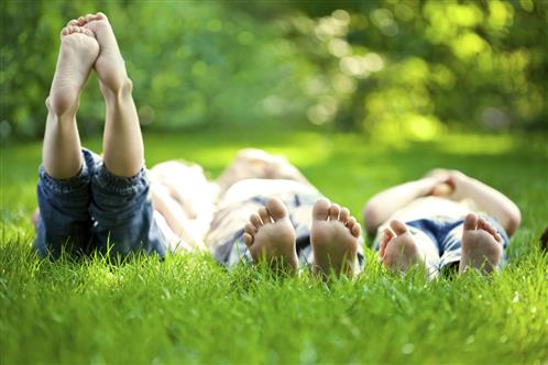 3 Kids Laying in Grass with Feet in the Air